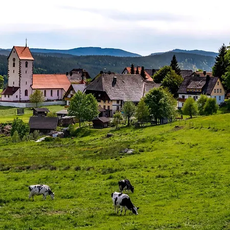 Hotel Tiny House Im Hochfirst Mit Hochschwarzwald Card Lenzkirch